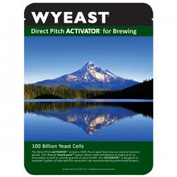Wyeast 3763 Roselare Ale Blend